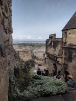 /home//u458753944/public_html/sourcegallery//other/uk 2023/edinburgh/IMG_20230913_111049167_HDR.jpg